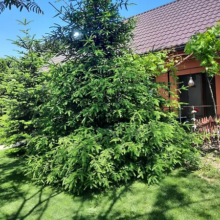 Casute ,, La Dani Alloggio per agriturismo